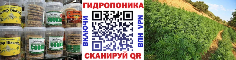 купить  сайты  Кохма  Canna-Cookies марихуана 