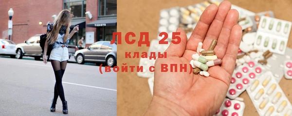 сатива Абаза
