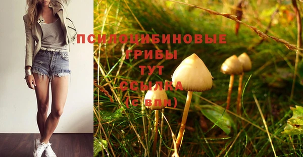 сатива Абаза