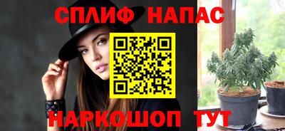 стафф Волгодонск
