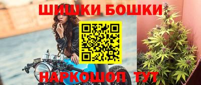 Альфа ПВП Гатчина