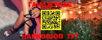 стафф Волгодонск