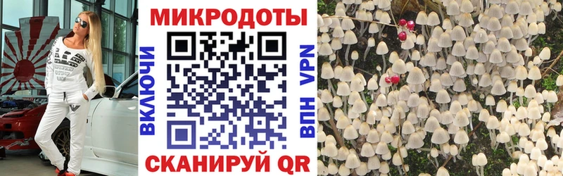 где продают Кохма Галлюциногенные грибы GOLDEN TEACHER