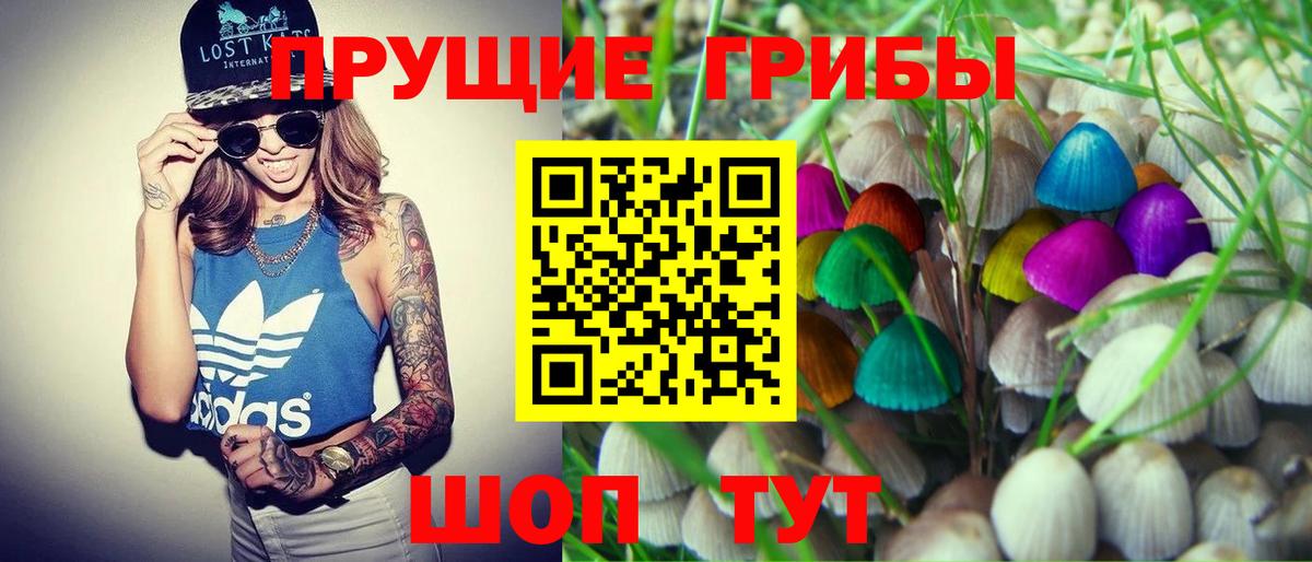 Кохма  Псилоцибиновые грибы GOLDEN TEACHER  Псилоцибиновые грибы мухоморы  Вход с VPN 