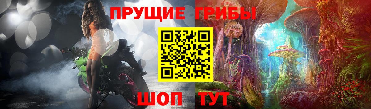 Галлюциногенные грибы мицелий Кохма