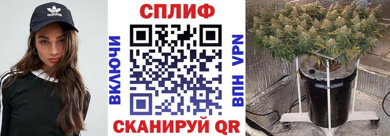 купить  сайты  Кохма  Шишки марихуана AK-47 